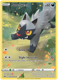 Poochyena GG33/GG70 - Crown Zenith Galarian Gallery - Holo Rare