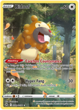 Bidoof GG29/GG70 - Crown Zenith Galarian Gallery - Holo Rare